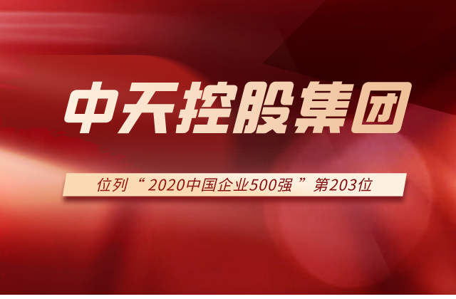 d88尊龙z6集团列2020中国企业500强第203位！
